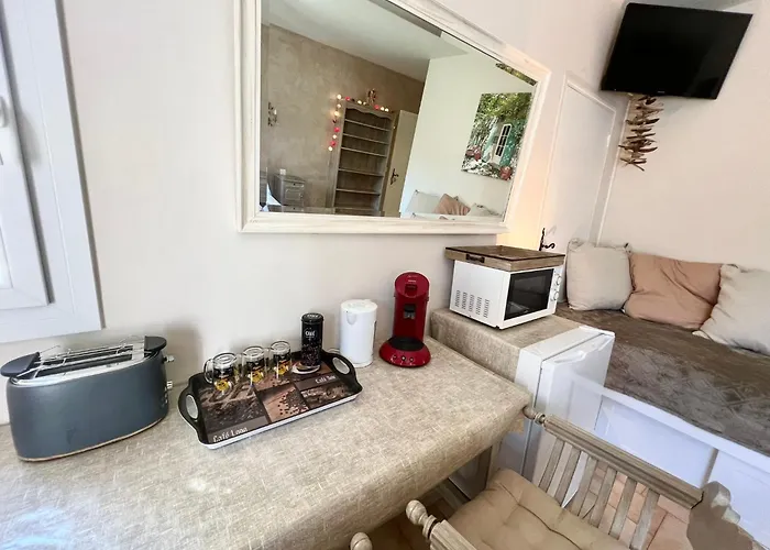 Bastide Du Levant - 50m - Rez De Jardin 2* سانت ماكسيم