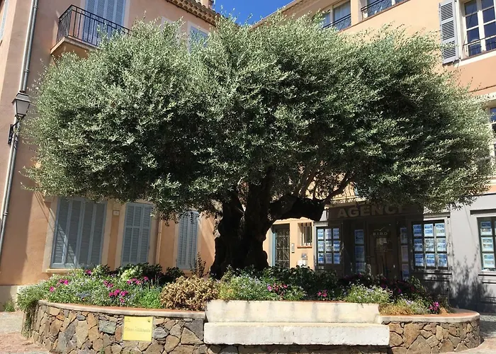 Bastide Du Levant - 50m - Rez De Jardin